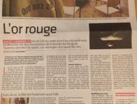 Articles de journaux